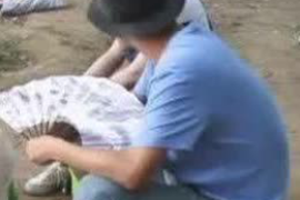 弥勒对付老赖：刘小姐被老赖拖欠货款